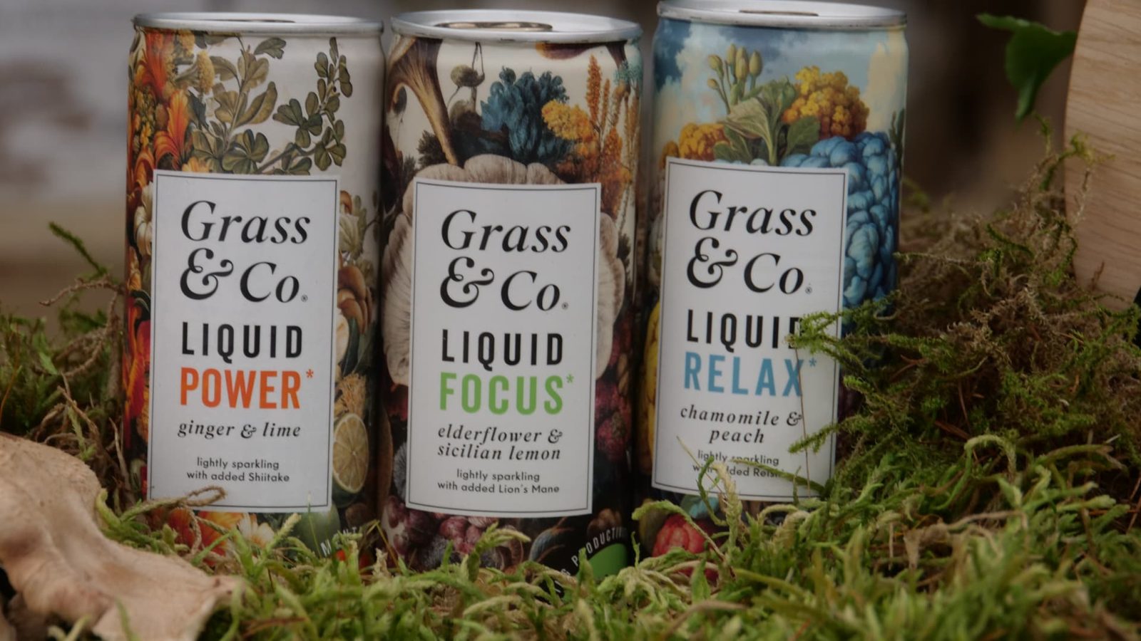 Liquid POWER, Liquid FOCUS and Liquid RELAX cans nestled in moss at Chelsea