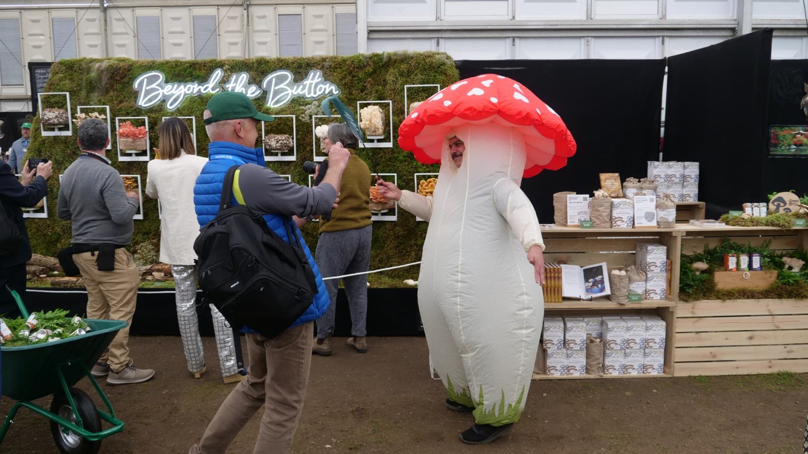 A giant fly agaric mushroom costume greeting visitors beside the Beyond the Button stand