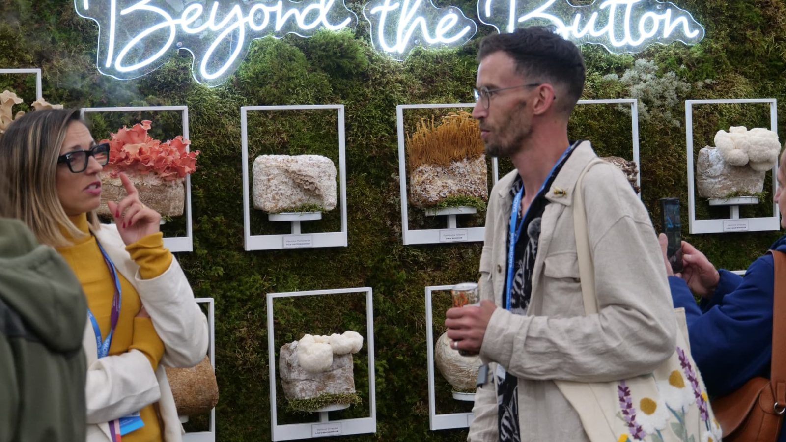 Beyond the Button: Gold at Chelsea