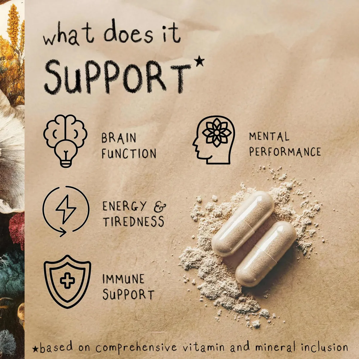 FOCUS | Lion's Mane Mushroom Capsules, image 5