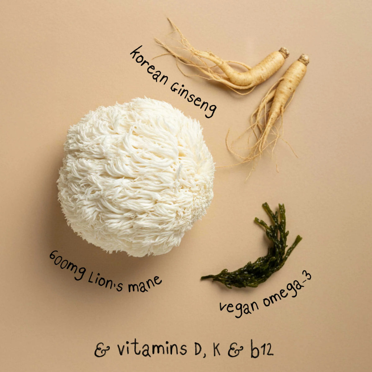 FOCUS | Lion's Mane Mushroom Capsules, image 9