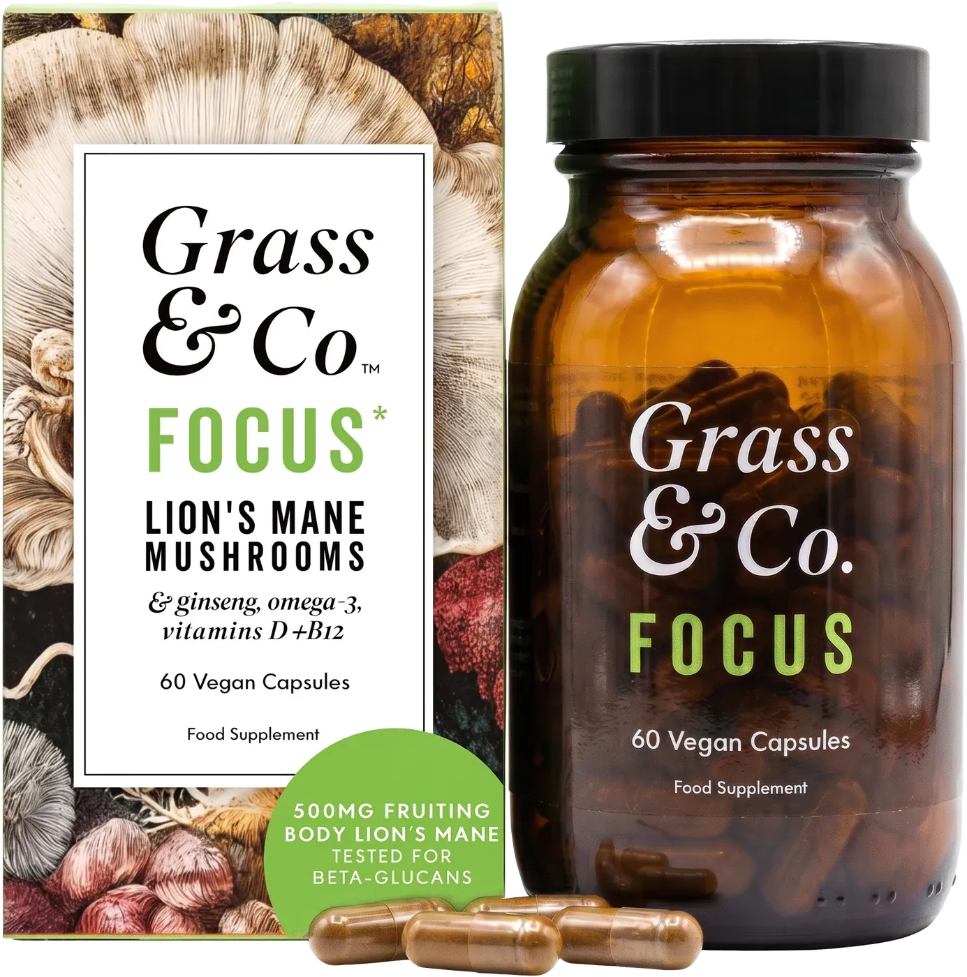 FOCUS | Lion's Mane Mushroom Capsules