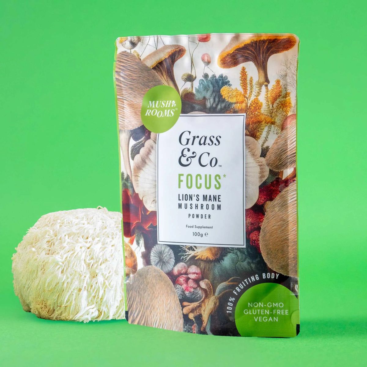 FOCUS | Lion's Mane Mushroom Powder, image 9