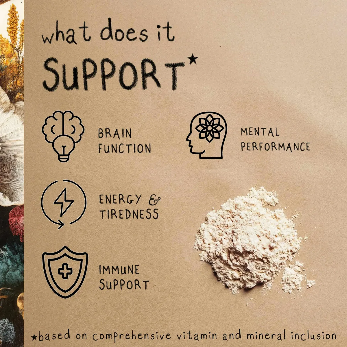 FOCUS | Lion's Mane Mushroom Powder, image 3