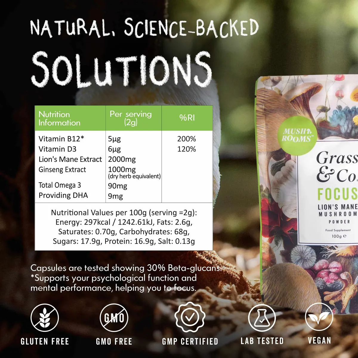 FOCUS | Lion's Mane Mushroom Powder, image 8