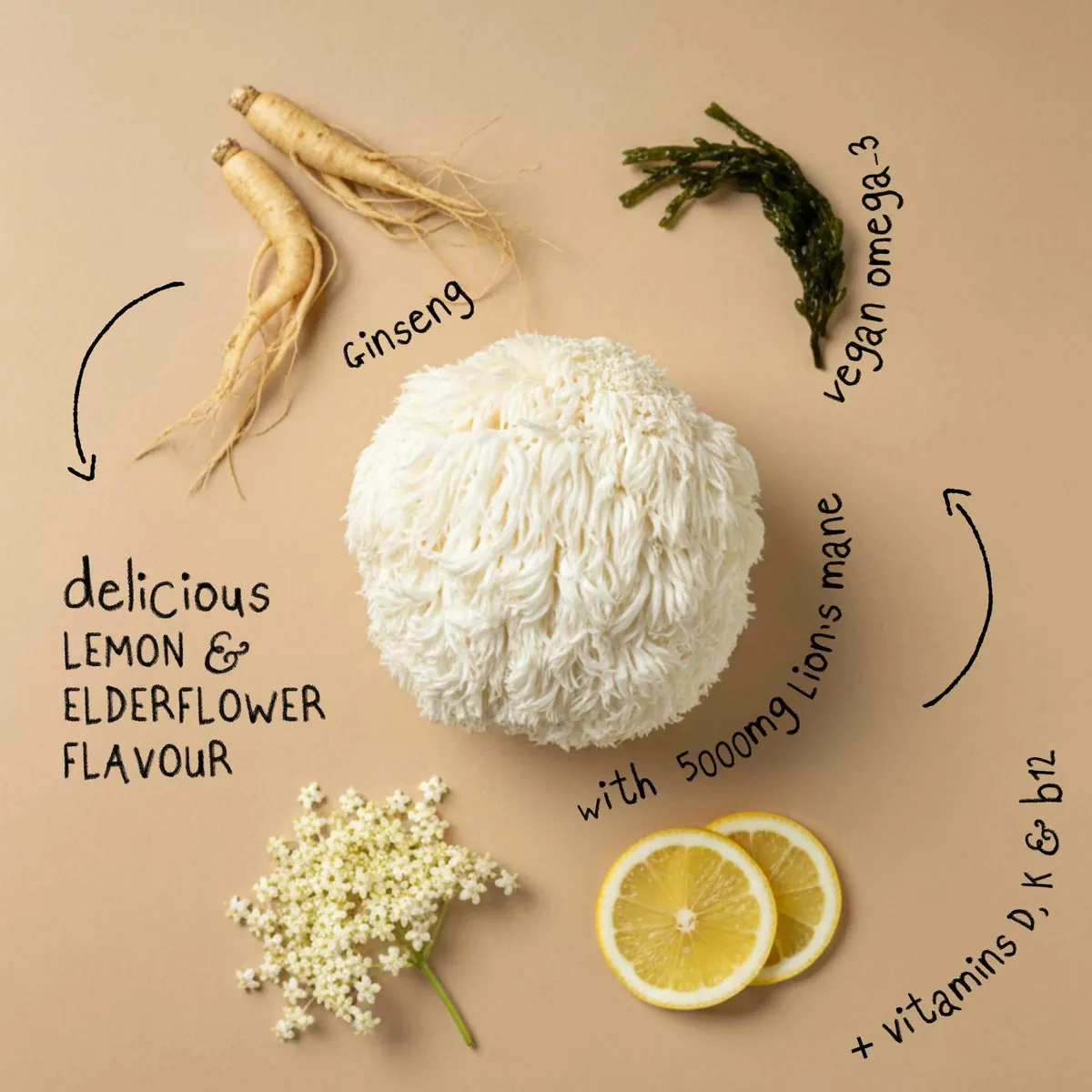 FOCUS MAX | Lion's Mane Mushroom Gummies, image 4