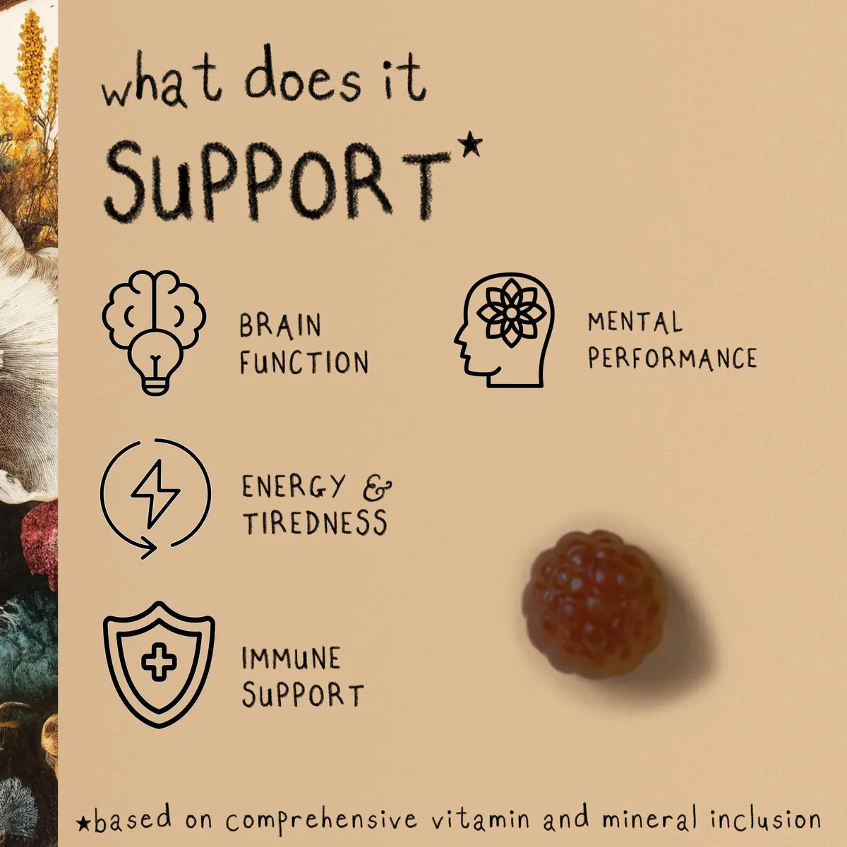 FOCUS MAX | Lion's Mane Mushroom Gummies, image 5