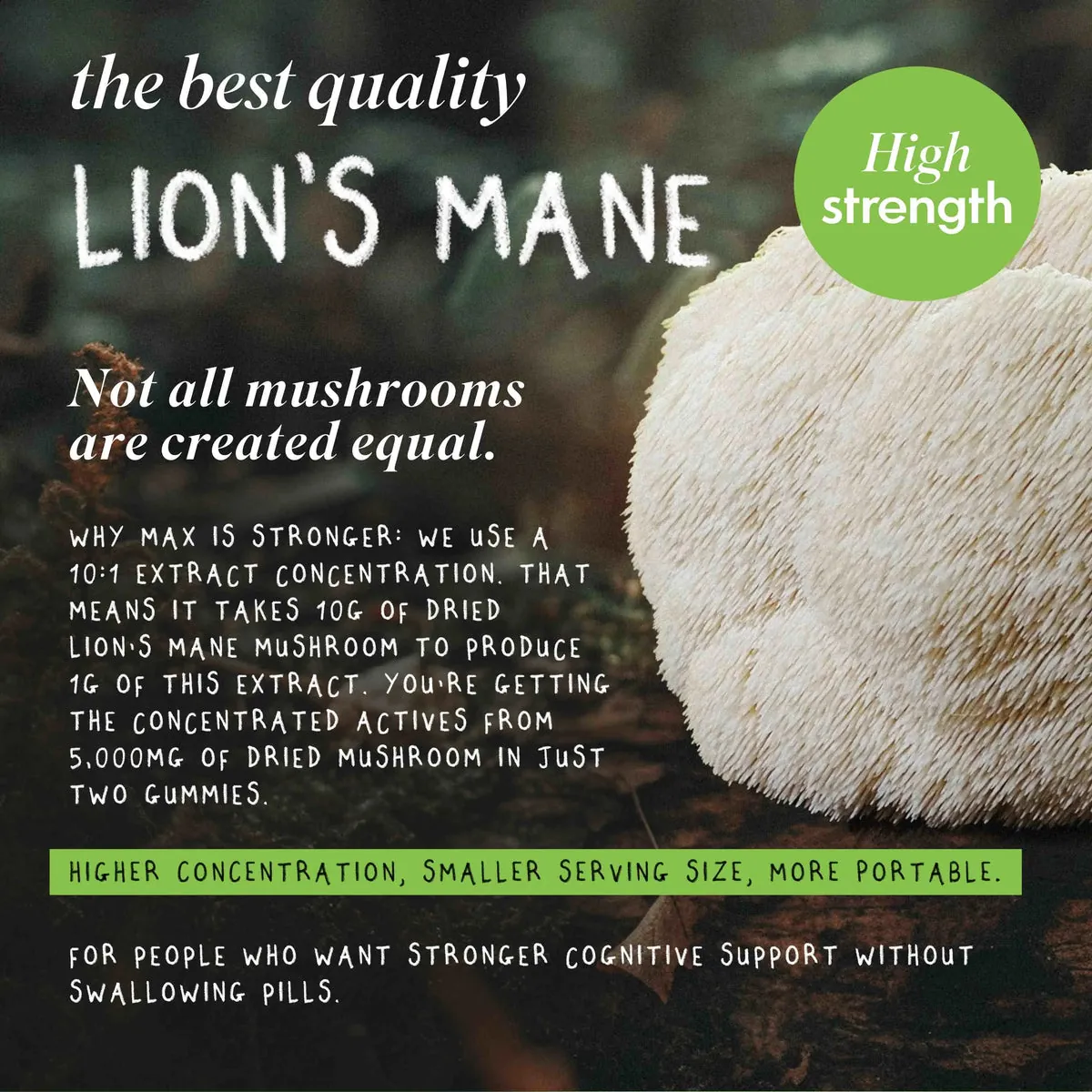 FOCUS MAX | Lion's Mane Mushroom Gummies, image 7