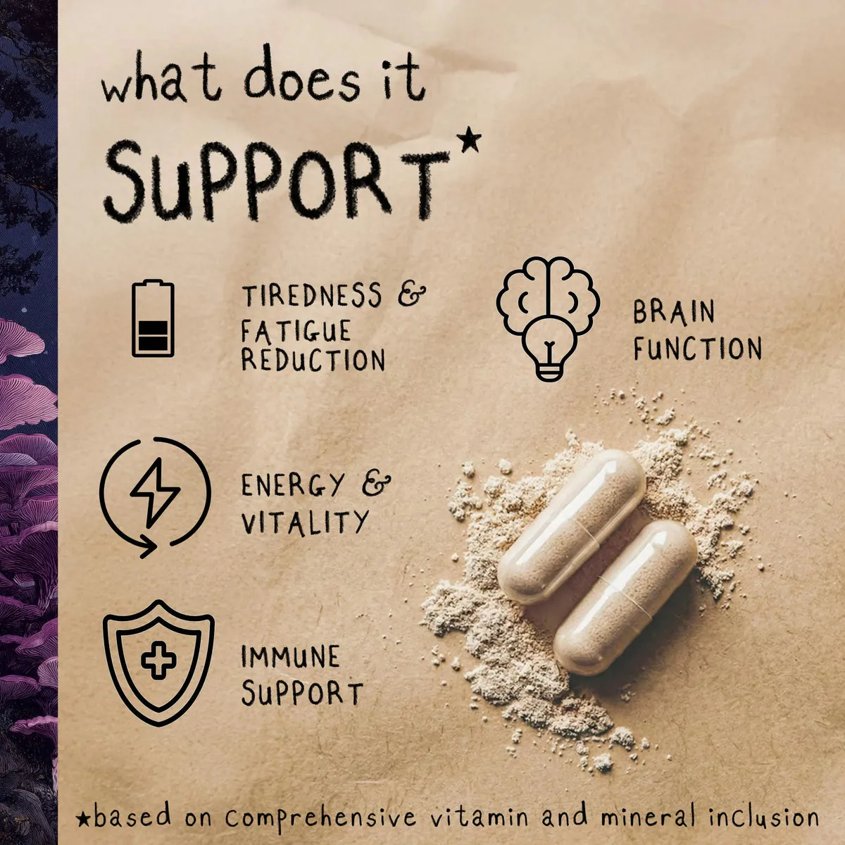 DREAM | Reishi Mushroom Capsules, image 4