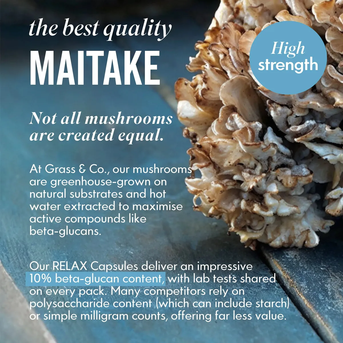 RELAX | Maitake Mushroom Capsules, image 6