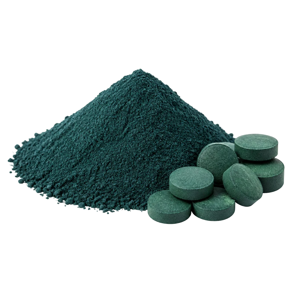 Photograph of Spirulina (Arthrospira platensis)